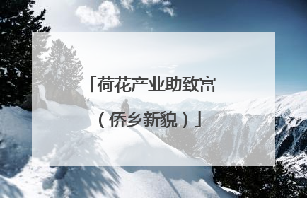 荷花产业助致富（侨乡新貌）
