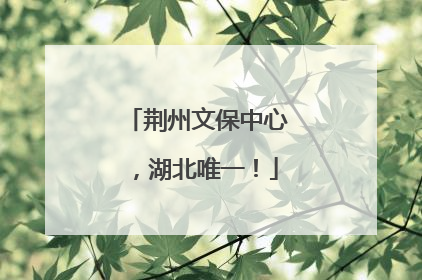 荆州文保中心，湖北唯一！