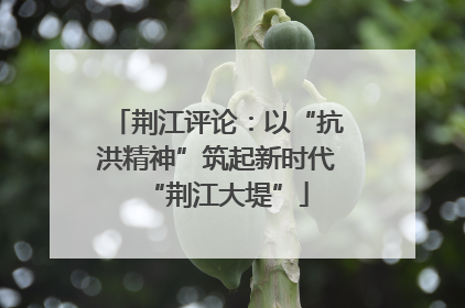 荆江评论：以“抗洪精神”筑起新时代“荆江大堤”