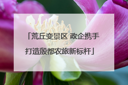 荒丘变景区 政企携手打造殷都农旅新标杆