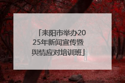 耒阳市举办2025年新闻宣传暨舆情应对培训班