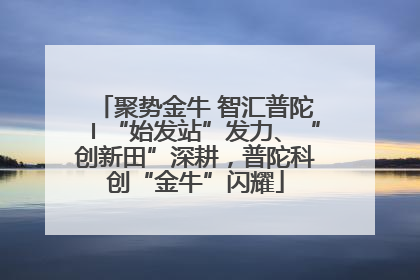 聚势金牛 智汇普陀〡“始发站”发力、“创新田”深耕，普陀科创“金牛”闪耀
