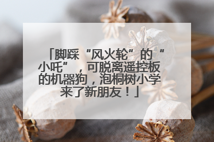 脚踩“风火轮”的“小吒”，可脱离遥控板的机器狗，泡桐树小学来了新朋友！