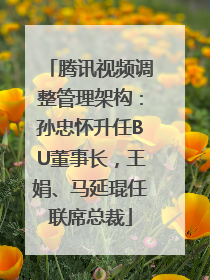 腾讯视频调整管理架构：孙忠怀升任BU董事长，王娟、马延琨任联席总裁