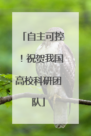 自主可控！祝贺我国高校科研团队