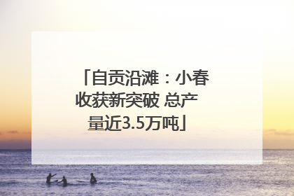 自贡沿滩：小春收获新突破 总产量近3.5万吨
