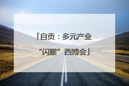 自贡：多元产业“闪耀”西博会