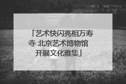 艺术快闪亮相万寿寺 北京艺术博物馆开展文化雅集