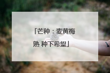 芒种：麦黄梅熟 种下希望