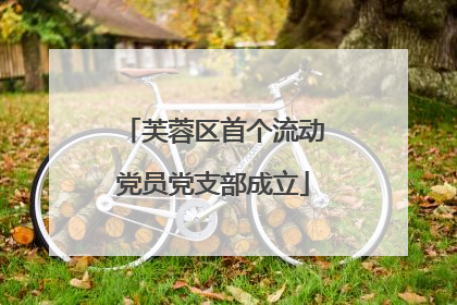 芙蓉区首个流动党员党支部成立