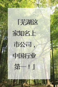 芜湖这家知名上市公司，中国行业第一！