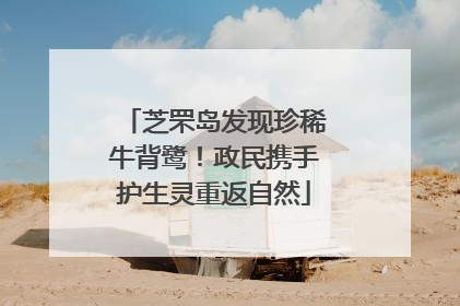 芝罘岛发现珍稀牛背鹭！政民携手护生灵重返自然