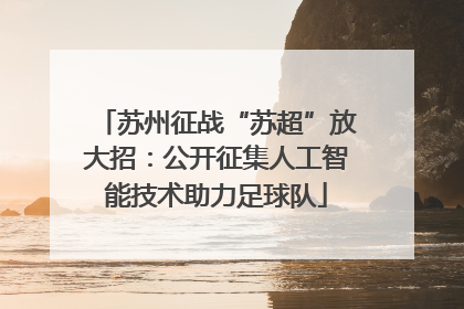 苏州征战“苏超”放大招：公开征集人工智能技术助力足球队