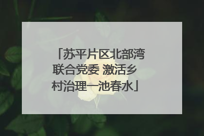 苏平片区北部湾联合党委 激活乡村治理一池春水