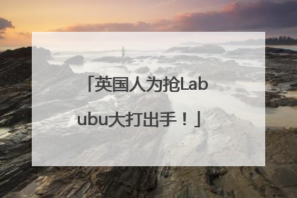 英国人为抢Labubu大打出手！