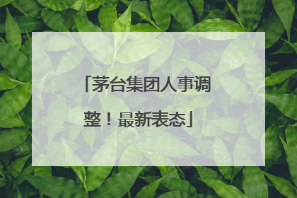 茅台集团人事调整！最新表态