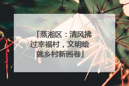 蒸湘区：清风拂过幸福村，文明绘就乡村新画卷
