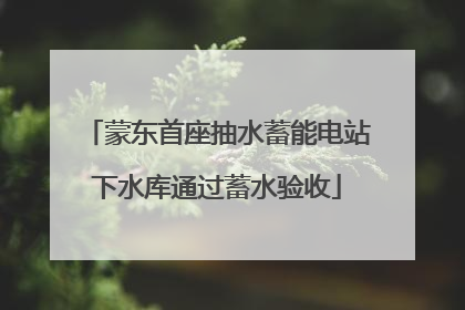 蒙东首座抽水蓄能电站下水库通过蓄水验收