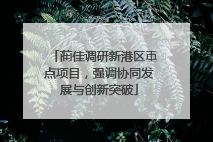 蔺佳调研新港区重点项目，强调协同发展与创新突破