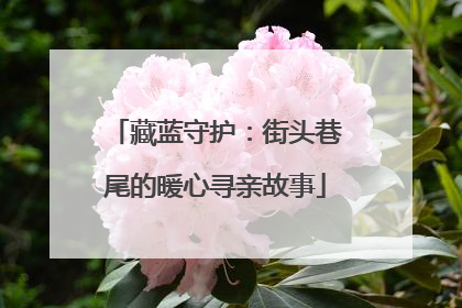 藏蓝守护：街头巷尾的暖心寻亲故事