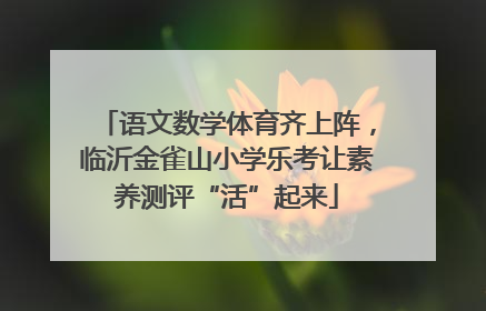 语文数学体育齐上阵，临沂金雀山小学乐考让素养测评“活”起来