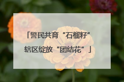 警民共育“石榴籽” 辖区绽放“团结花”