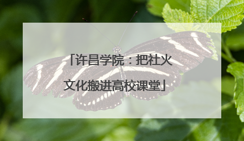 许昌学院：把社火文化搬进高校课堂
