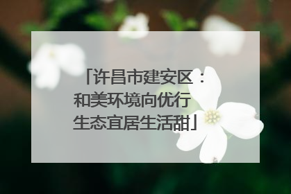 许昌市建安区：和美环境向优行 生态宜居生活甜