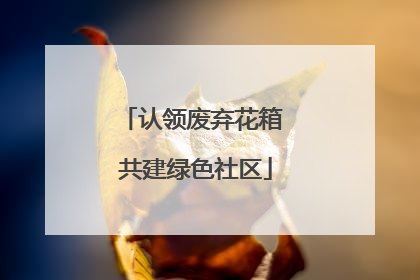 认领废弃花箱 共建绿色社区