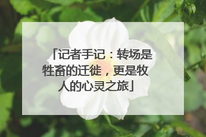 记者手记：转场是牲畜的迁徙，更是牧人的心灵之旅