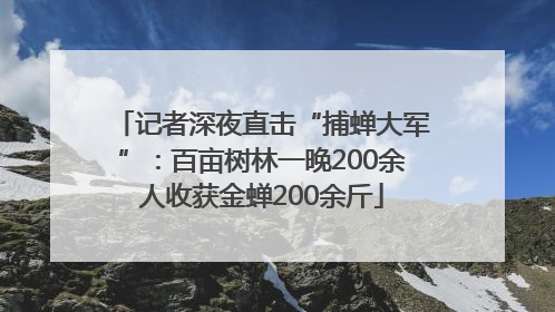 记者深夜直击“捕蝉大军”：百亩树林一晚200余人收获金蝉200余斤