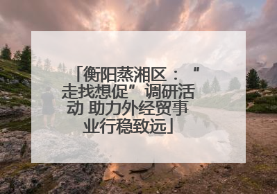 衡阳蒸湘区：“走找想促”调研活动 助力外经贸事业行稳致远