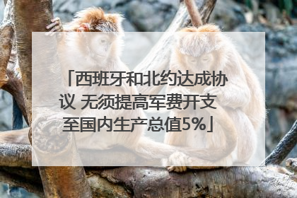 西班牙和北约达成协议 无须提高军费开支至国内生产总值5%