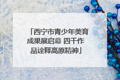 西宁市青少年美育成果展启幕 四千作品诠释高原精神