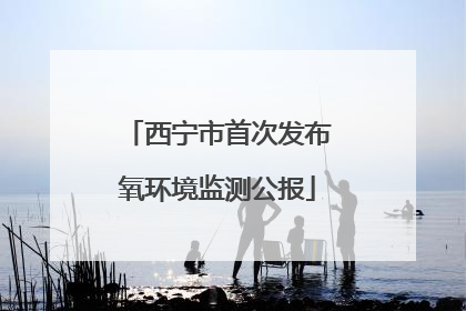 西宁市首次发布氧环境监测公报