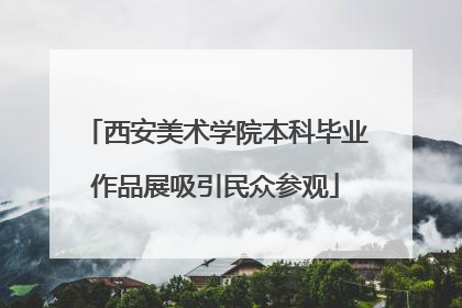 西安美术学院本科毕业作品展吸引民众参观