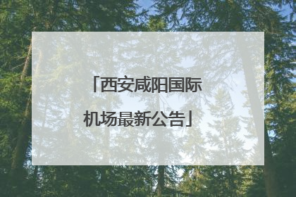 西安咸阳国际机场最新公告