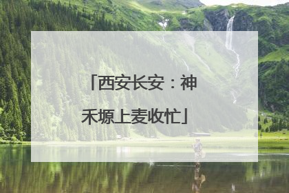 西安长安：神禾塬上麦收忙
