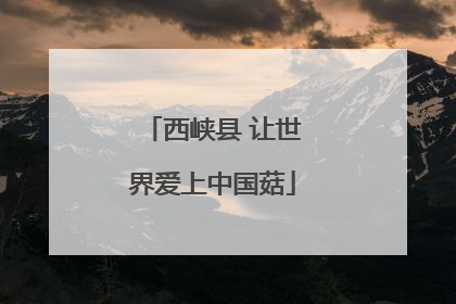 西峡县 让世界爱上中国菇