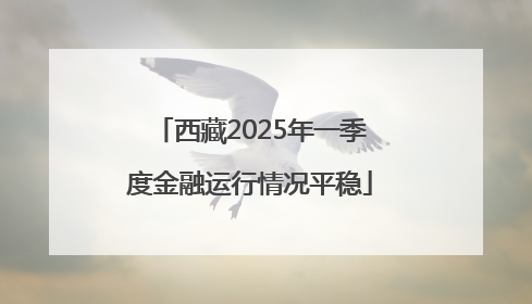 西藏2025年一季度金融运行情况平稳