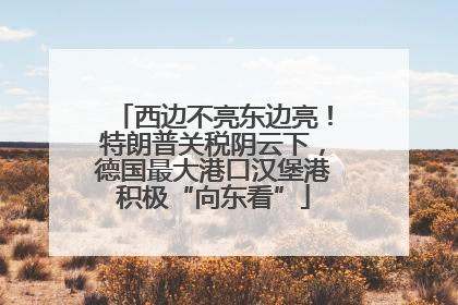 西边不亮东边亮！特朗普关税阴云下，德国最大港口汉堡港积极“向东看”