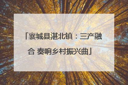 襄城县湛北镇：三产融合 奏响乡村振兴曲