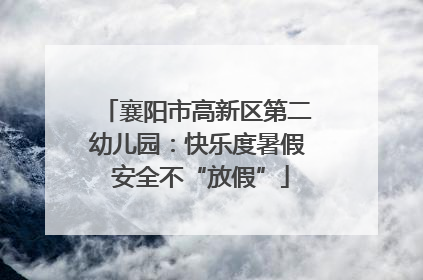 襄阳市高新区第二幼儿园：快乐度暑假 安全不“放假”