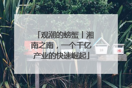 观潮的螃蟹丨湘南之南，一个千亿产业的快速崛起