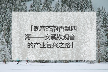 观音茶韵香飘四海——安溪铁观音的产业复兴之路