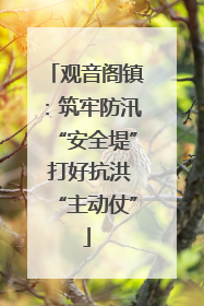 观音阁镇：筑牢防汛“安全堤” 打好抗洪“主动仗”