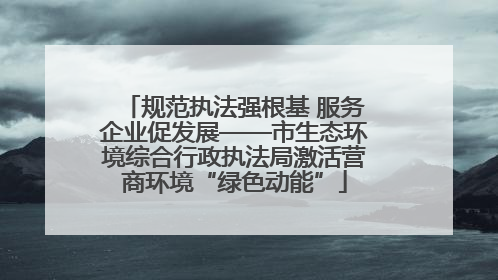 规范执法强根基 服务企业促发展——市生态环境综合行政执法局激活营商环境“绿色动能”