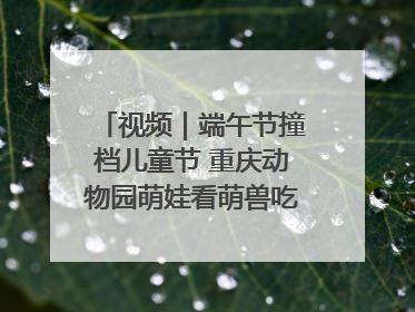 视频｜端午节撞档儿童节 重庆动物园萌娃看萌兽吃特色粽子大餐