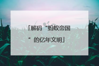 解码“蚂蚁帝国”的亿年文明