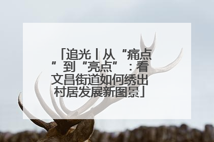 追光丨从“痛点”到“亮点”：看文昌街道如何绣出村居发展新图景